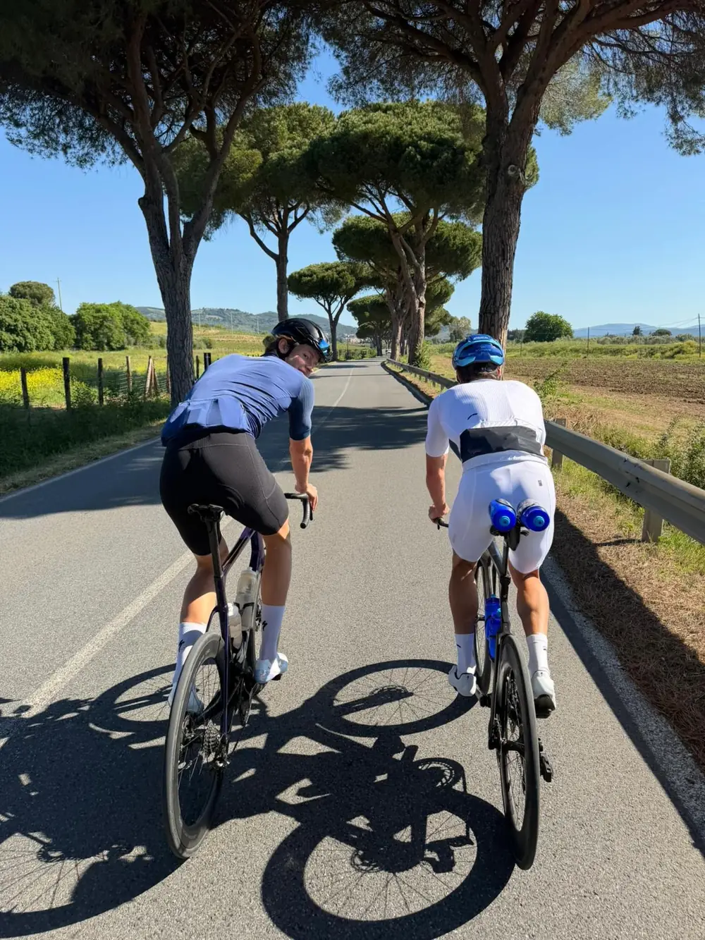 Radtraining auf einer Pinienallee